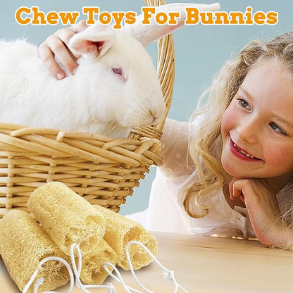 Apatal 12 Pcs Rabbit Chew Toys Natural Bunny Loofah Chew Toy Chinchilla Teeth Grinding Toys Guinea Pig Fibre-Rich Treats Enrichment Bunny Accessories for Rabbits Hamster (S)