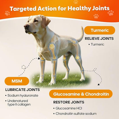 Hip and Joint Supplement for Dogs, Joint Pain Relief Supplement with MSM, Glucosamine, Chondroitin, Support Mobility, Health Chews for Dog, 120 Chews