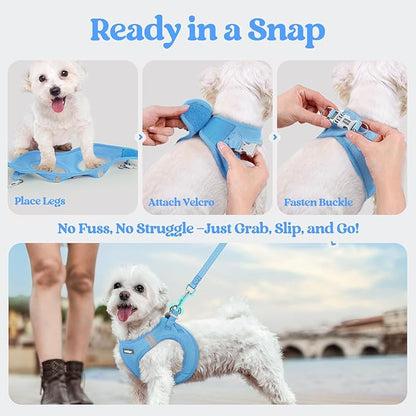 rabbitgoo Dog Harness Small Sized and Leash Set, Step in Soft Light Puppy Vest, Breathable Mesh Pet Harness, Reflective for Safe Easy Walking, Blue XS