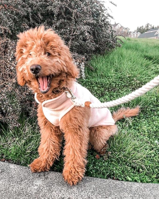 Gooby - Fleece Vest, Small Dog Pullover Fleece Jacket with Leash Ring, Pink, X-Small