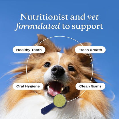 PetLab Co. ProBright Dental Powder - Dog Breath Freshener - Teeth Cleaning Made Easy – Targets Tartar & Bad Breath - Formulated for Small Dogs - Packaging May Vary