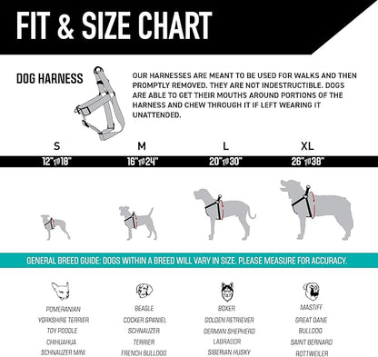 Wolfgang Heavy Duty Adjustable Dog Harness, Pull-Tested to Over 800 lbs for Walking & Training, Daydream Print, Large