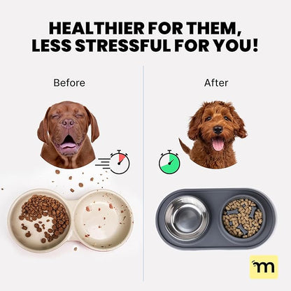 MalsiPree Cat & Dog Slow Feeder Bowl – Improve Digestion – Stainless Steel Water Bowl & Anti-Spill Silicone Mat – for Small & Medium Breeds – 15 oz - Puppy Slow Feeder