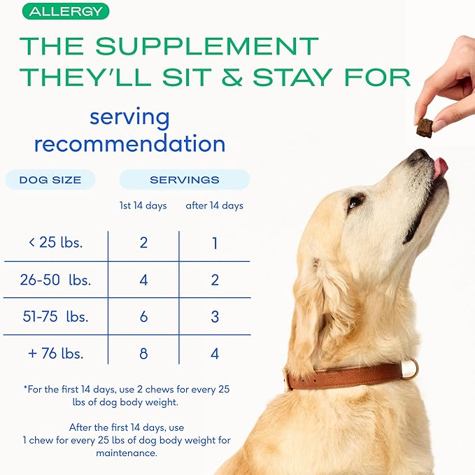 Native Pet Dog Allergy Chews - Dog Allergy Relief with Probiotics and Colostrum for Itchy Skin Relief to Support Seasonal Allergy and Healthy Immune System - All Natural Anti-Histamine - 60 Chews