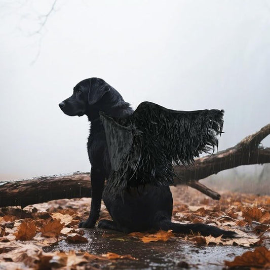 Funny Reindeer Moose Dog Costume - Cute Furry Pet Wig for Halloween & Christmas