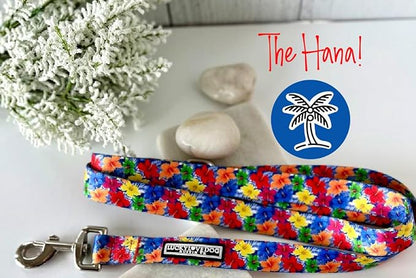 Lucky Love Dog - Easy Click Buckle Dog Collar with Leash Set Combo, Durable & Comfortable for Male & Female Dogs, Pet Collar for Small to Large Dogs, Secure Fit - Hana Combo, XS