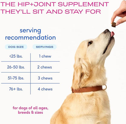 Native Pet Hip & Joint Supplement for Dogs - Advanced Dog Joint & Arthritis Supplement - Helps Maintain Healthy Cartilage, Joint Flexibility, Lubrication, & Function - with ESM & Collagen - 60 Chews