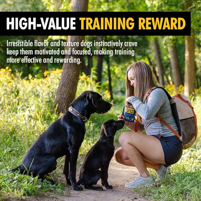High Country Wild Blueberry Elk & Venison Dog Training Treats - Natural Grain-Free Puppy & Dog Snacks - Protein Treat for Training, Reward - No Fillers, No Artificial Preservatives, 4oz 3 Bags