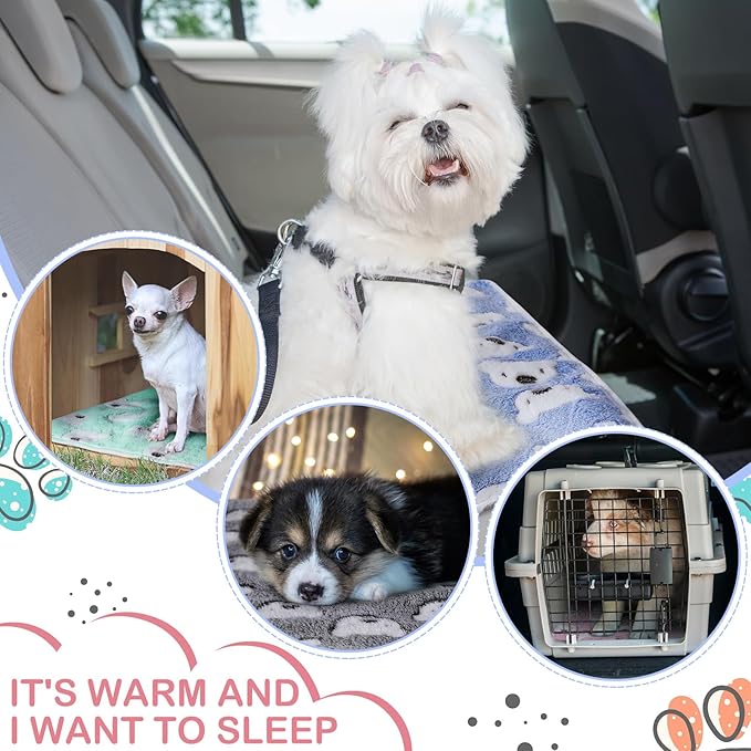 Reginary 4 Pcs Waterproof Guinea Pig Blankets Washable Small Animal Fleece Bedding Guinea Pig Cage Liners Reusable Training Pads Pet Pee Pad Sleep Mat for Hamster(Bear Pattern,24 x 16 Inch)