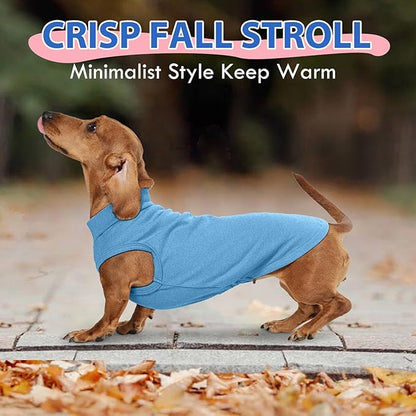 Dog Sweater Fleece - Blue, XS - Stretchable Sleeveless Vest | Warm Lightweight Sweatershirt, Pullover Design for Puppy,Chihuahua Clothes,Autumn/Winter Outdoor Clothing