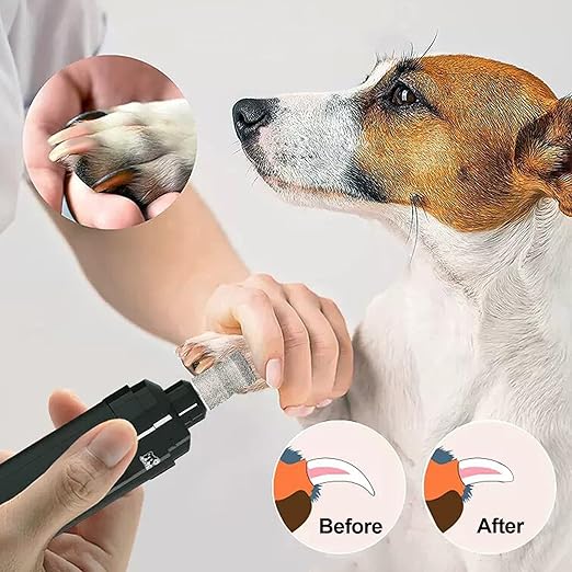 Diamond Dog Nail Grinder Bits - FOCSTOL Diamond Rotory Bit for Dogs&Pets, 1/8'' Rotary Nail Grinder Bits for Animals Nail Care (Type B)