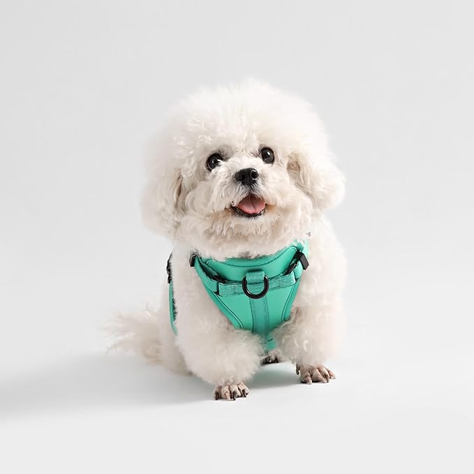 HNS1001K Arlo Small Adjustable Soft Padded No Pull Pet Harness with 3 Buckles and 3 Leash Clips, Julep