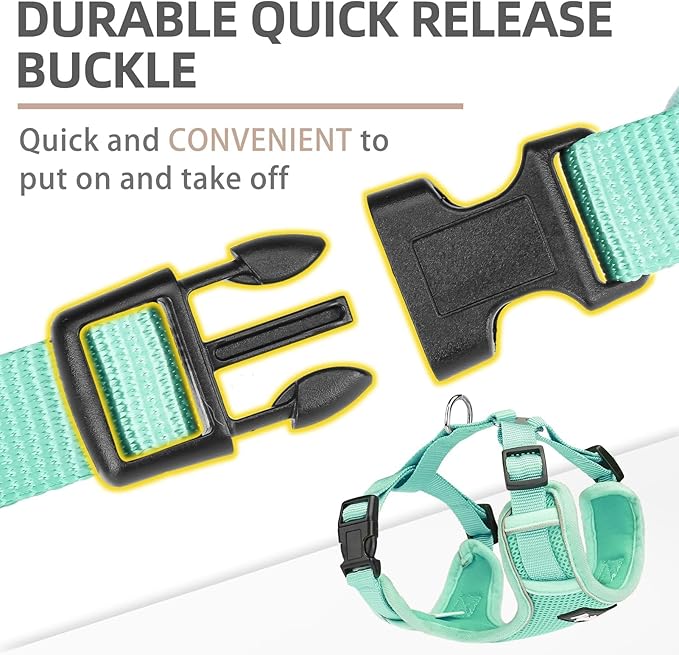 PUPTECK Small Dog Harness and Leash Set, No Pull Adjustable Puppy Cat Harness, Reflective Soft Mesh Pet Vest Small Sized