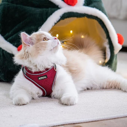 AIITLE Dog Harness, Summer No-Pull Cat Harness with a Leash, Adjustable Reflective Dog Vest, Cat Harness Escape Proof, Outdoor Walking, Camping for Extra Small Dogs and House Cats Burgundy XXXS