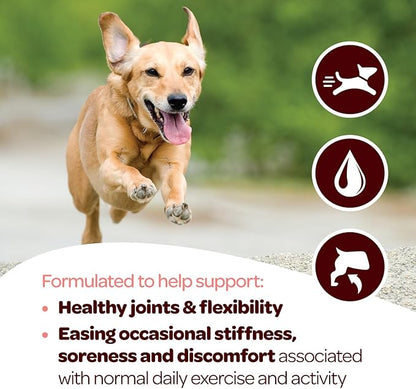 Hip and Joint Chews for Dogs | Dog Glucosamine Chews for Comfort & Mobility with Chondroitin MSM & Turmeric | Dog Joint Supplement for All Ages & Sizes | NASC Certified & Made in The USA | 60 Chews