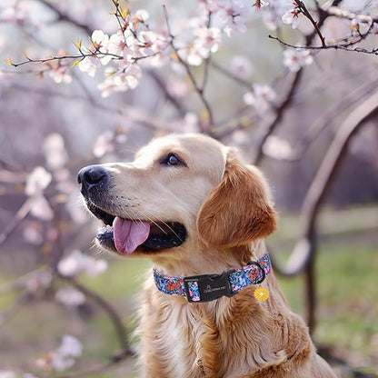 ARING PET Floral Dog Collar, Cute Blue Pink Orange Flower Pet Collars for Puppy Small Medium Large Boy Girl Dogs-L