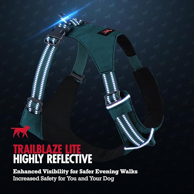 Tuff Pupper All-Day Wear Dog Harness | for Walking, Trail Running, Hiking | Front & Back Leash Clips | Reflective Trim | Easy On/Off Buckles | Lightweight Breathable | No Pull Design (XS, Teal)