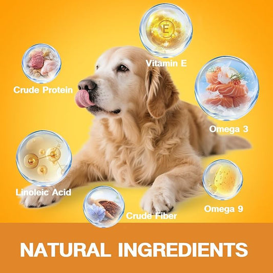 Skin & Coat Supplement for Dogs - Allergy Relief Chews with Omega 3, 9 & Vitamin E, Itchy Skin Treatment, Beef Flavor Soft Chews (120 Count) (Beef)