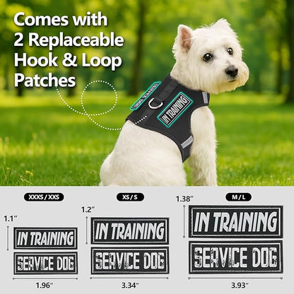 Dog Harness for Puppy – Adjustable Reflective Easy Put On Soft Mesh Vest for Small Dogs with 2 Patches (Black,XS)