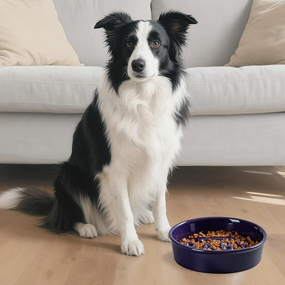 Ceramic Slow Feeder Dog Bowl, 4-Cup Anti-Slip Puzzle Feeder for Medium/Large Dogs, Indoor/Outdoor Pet Bowl for Fast Eaters - Blue