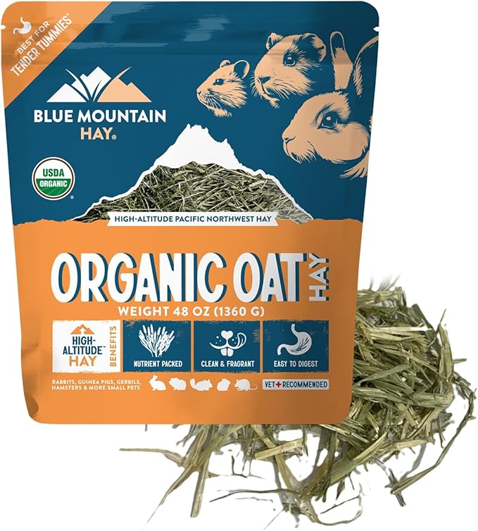 Blue Mountain Hay | Fresh Organic Oat Hay (48 Ounce) | Good for Sensitive Digestion | High-Altitude Hay Pet Food for Rabbits, Guinea Pigs, Chinchillas, Hamsters, and Other Small Pets