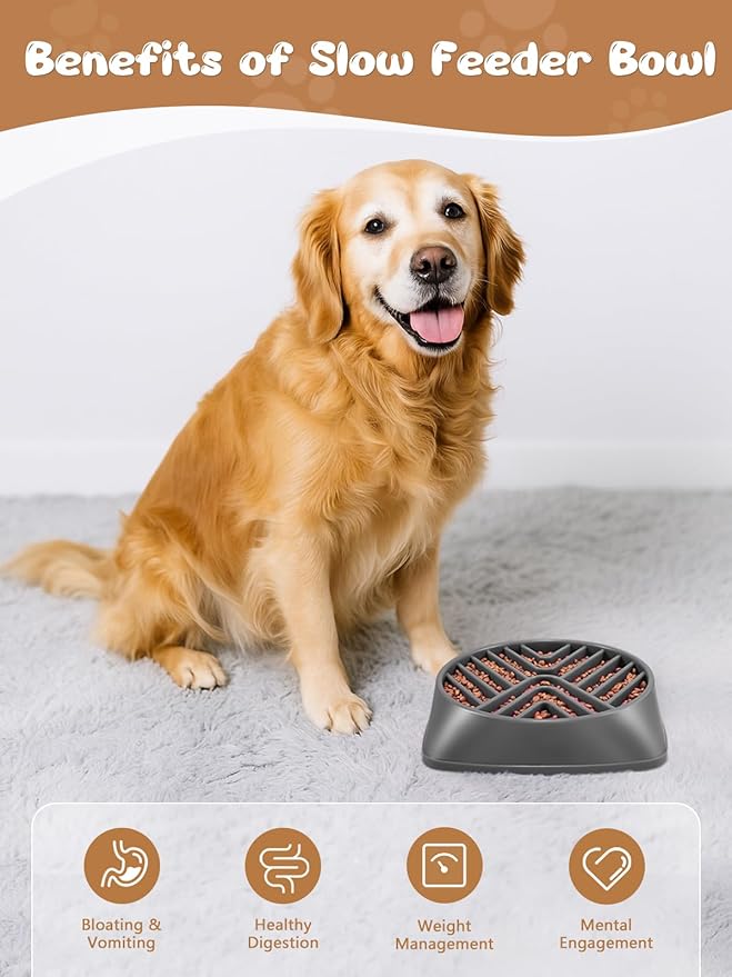 KASBAH Slow Feeder Dog Bowls Large Breed, Holds 5 Cups Wet or Dry Food for Large and Medium Dogs,Puzzle Maze for Fast Eaters,Square Base,Non-Slip, Made Without BPA,Helps Prevent Bloat & Aid Digestion