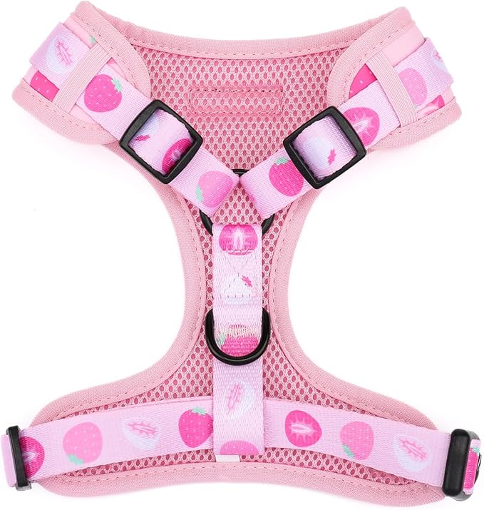 Dog Harness and Leash Set, Adjustable Dog Harness, Dog Leash, No Pull No Choke Puppy Harnesses for Walking Training for Small Medium Pet (Strawberries, XS(Chest 9.9-13.5", Neck 7.8-10.2"))