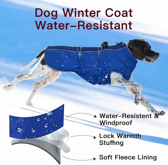 Winter Dog Coat - Zip Up Snowsuit Jacket, Reflective & Water-Resistant, Large (3X), Royal-Blue