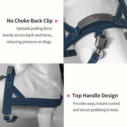 Magnetic Quick-Release Buckle Dog Harness and Leash Set, Easy Walk Faux Leather Puppy Harness, Easy On & Off Dog Vest with Handle for Medium, Large Girl Boy Dogs for Hiking Training, Blue, M