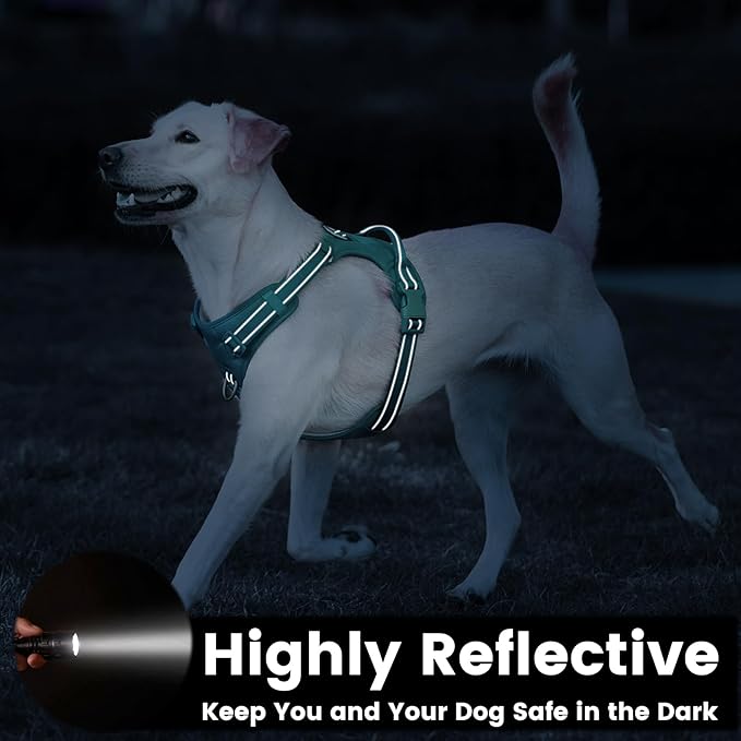 No Pull Dog Harness, Reflective Puppy Vest for Small Medium Large Sized Dog(MARRS Green,L)