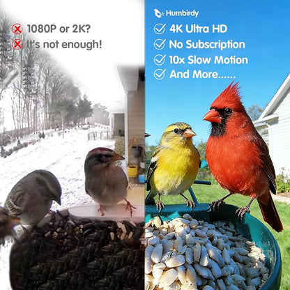 Humbirdy-Bird Feeder with Camera, 8MP Ultra HD Video & Photo, 10x Slow-Motion, 4K 30fps Live View, No Subscription, AI Identify, 2.4G/5G Wi-Fi, Solar Powered, Dural Metal, Unique Bird Watching Gifts