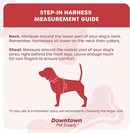 Downtown Pet Supply Step-in Dog Harness – No Pull, Adjustable Padded Mesh with Reflective Trim, Secure Buckle Strap – Comfortable & Breathable Small Dog Harness, X-Small, Charcoal
