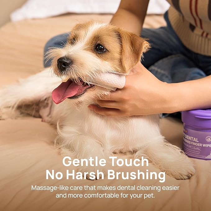 HICC PET Pro Teeth Cleaning Wipes for Dogs & Cats, Vet-Recommended Dental Care Finger Wipes, Reduce Plaque Tartar & Fresh Breath, No-Rinse Toothbrush, Gentle Clean Dog Tooth Brushing Kit, Mint