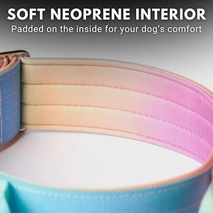 Tactical Dog Collar with Handle - Premium Quality Collar, Robust and Durable Design for Large, Strong Breeds - Pitbulls, Labradors, GSD - Pastel Icing - L - 1.5"