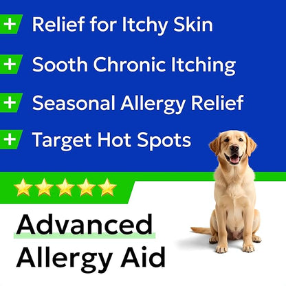 BARK&SPARK Dog Allergy Relief Chews - Anti-Itch Skin & Coat Supplement - Omega 3 Fish Oil - Itchy Skin Relief Treatment Pills - Itching&Paw Licking - Dry Skin&Hot Spots - (60 Immune Treats - Chicken)