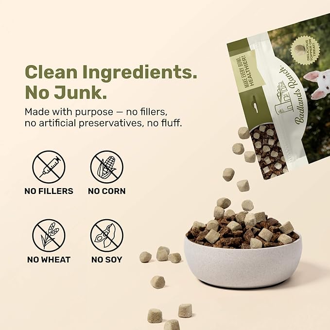 BADLANDS RANCH Superfood Nuggets – Freeze-Dried Raw Dog Treat & Food Topper, Nutrient-Dense Beef Tripe & Kale Formula, High Protein, No Artificial Additives, 8oz Bag