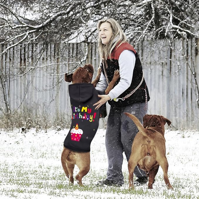 GreenJoy Dog Sweater Dog Hoodie Cold Weather Coat Hooded Sweatshirt for Puppies,Cats, Small Medium Large Dogs (Black(It's My Birthday), Medium)