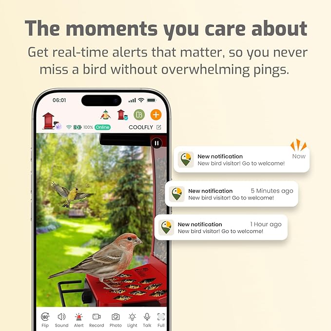 Richbird Smart Bird Feeder Camera with Vivid 2.5K Color Night Vision, Free AI Bird Identifier, Durable Squirrel-Resistant Metal Body, Solar Powered, Outdoor Gift for Birds Lovers and Family