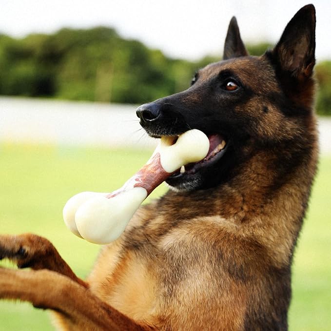 Tikaton Indestructible Dog Chew Toys for Aggressive Chewers, Beef Flavor Durable Dog Teething Chew Toys Bones for Large/Medium/Small Puppies