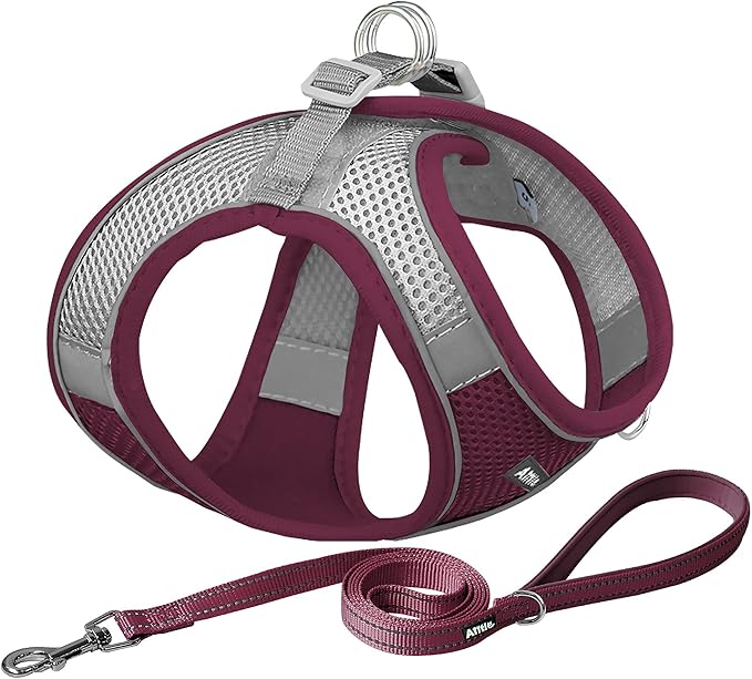 AIITLE Dog Harness, Summer No-Pull Cat Harness with a Leash, Adjustable Reflective Dog Vest, Cat Harness Escape Proof, Outdoor Walking, Camping for Extra Small Dogs and House Cats Burgundy XXXS