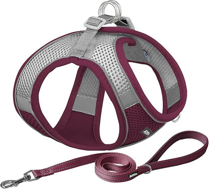 AIITLE Dog Harness, Summer No-Pull Cat Harness with a Leash, Adjustable Reflective Dog Vest, Cat Harness Escape Proof, Outdoor Walking, Camping for Extra Small Dogs and House Cats Burgundy XXXS