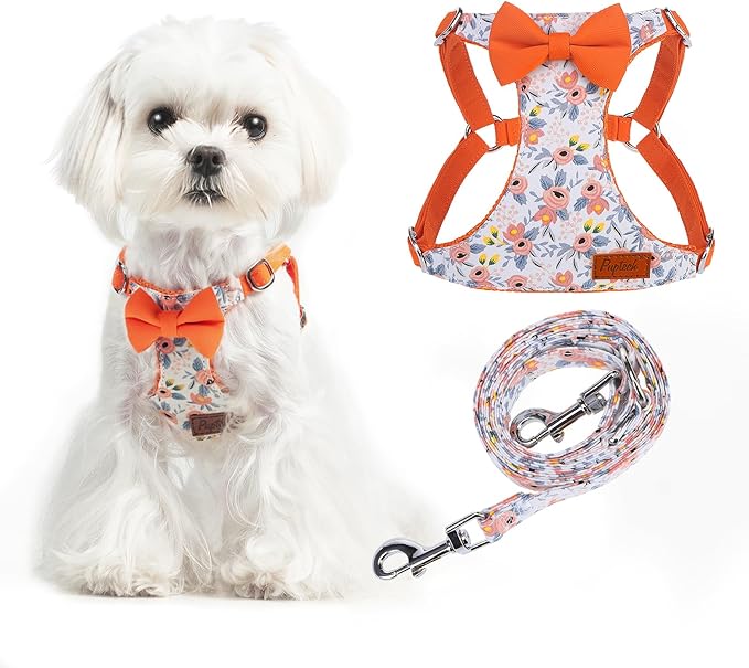 PUPTECK Dog Harness and Leash Set Small Sized, Step-in Cute Puppy Harness, Soft Lightweight Padded Vest, Escape Proof No Pull Pet Harnesses Easy for Walking, Flower Orange, XXS