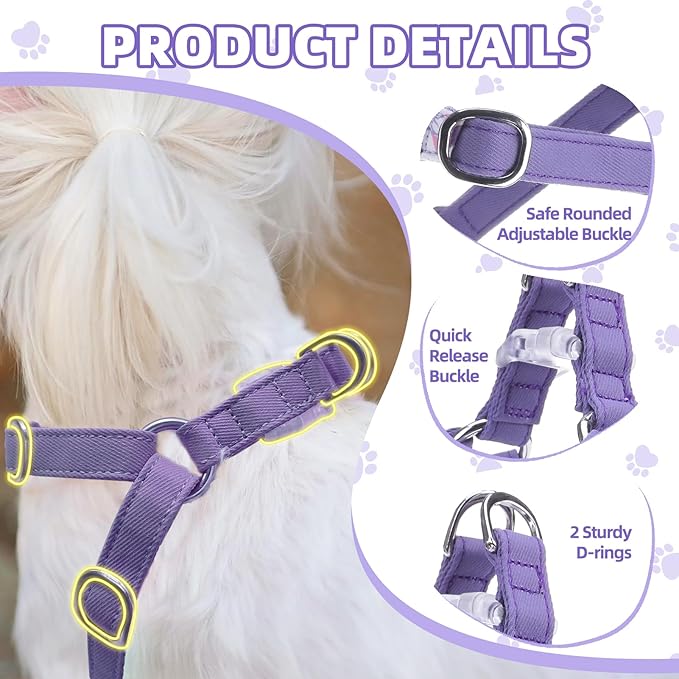 PUPTECK Dog Harness and Leash Set Small Sized, Step-in Cute Puppy Harness, Soft Lightweight Padded Vest, Escape Proof No Pull Pet Harnesses Easy for Walking, Flower Purple, XS