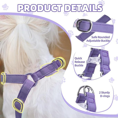 PUPTECK Dog Harness and Leash Set Small Sized, Step-in Cute Puppy Harness, Soft Lightweight Padded Vest, Escape Proof No Pull Pet Harnesses Easy for Walking, Flower Purple, XS