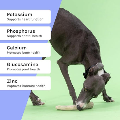 Good Trouble Premium Deer Antlers for Large Dogs – 1 Whole Antler Pets - North American Sourced Deer Antlers for Dental Health & Anxiety Relief - Odor-Free & Non-Toxic Chew Bone for Dogs