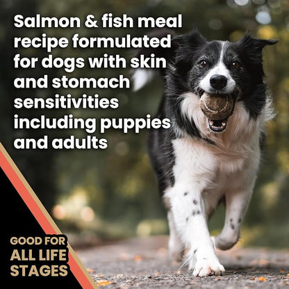 VICTOR Super Premium Dog Food — Sensitive Skin and Stomach — Salmon Meal & Brown Rice Recipe Dry Kibble — Gluten Free, No Chicken, Ideal for Dogs with Allergies — Adult and Puppy Food, 15 lb