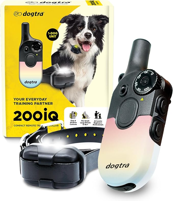 Dogtra 200iQ Remote Training E Collar – 100 Levels, Tone, Vibration, 1/2 Mile Range – Compact, Waterproof, One-Handed Control for Dogs 10 lbs+ – Lightweight Design for Daily Training – Sunset