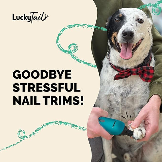 LUCKY TAIL Pet Nail Grinder for Dogs and Cats - Super Quiet and Low Vibration Electric Dog Nail Grinder with 2 LED Lights - USB Rechargeable and Cordless - 2 Speeds - Small to Large Pets - Teal