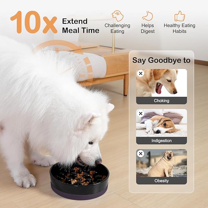 Sted Ceramic Slow Feeder Bowl for Medium Large Breed Dogs - Puzzle Food Bowl With Silicone Base for Fast Eaters, Slows Down Eating - Maze Black