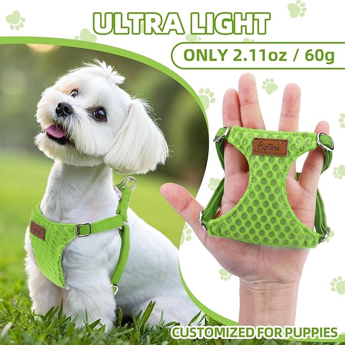 PUPTECK Dog Harness and Leash Set Small Sized, Step-in Cute Puppy Harness, Soft Lightweight Padded Vest, Escape Proof No Pull Pet Harnesses Easy for Walking, Green, S
